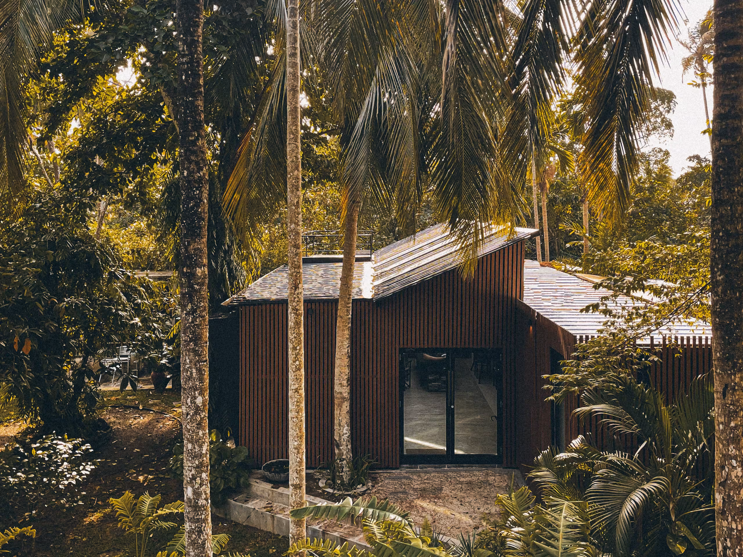 Jungle Home villa exterior among palms at Licuala Lanka, Ahangama, Sri Lanka