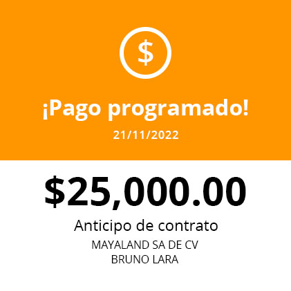 Programación de pagos