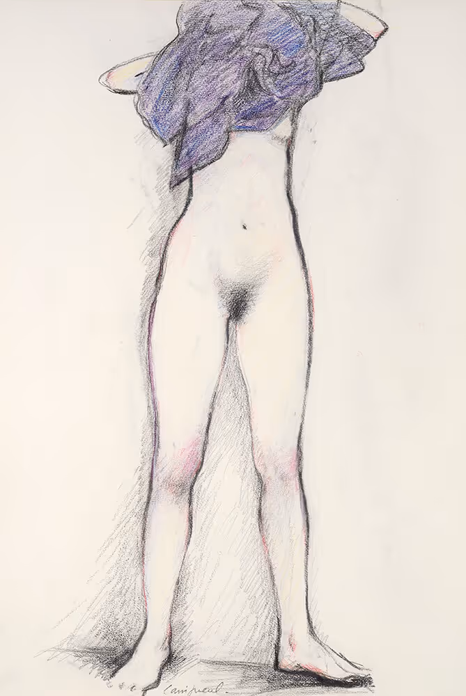 La serviette bleue