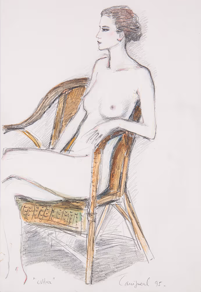 Nu au fauteuil