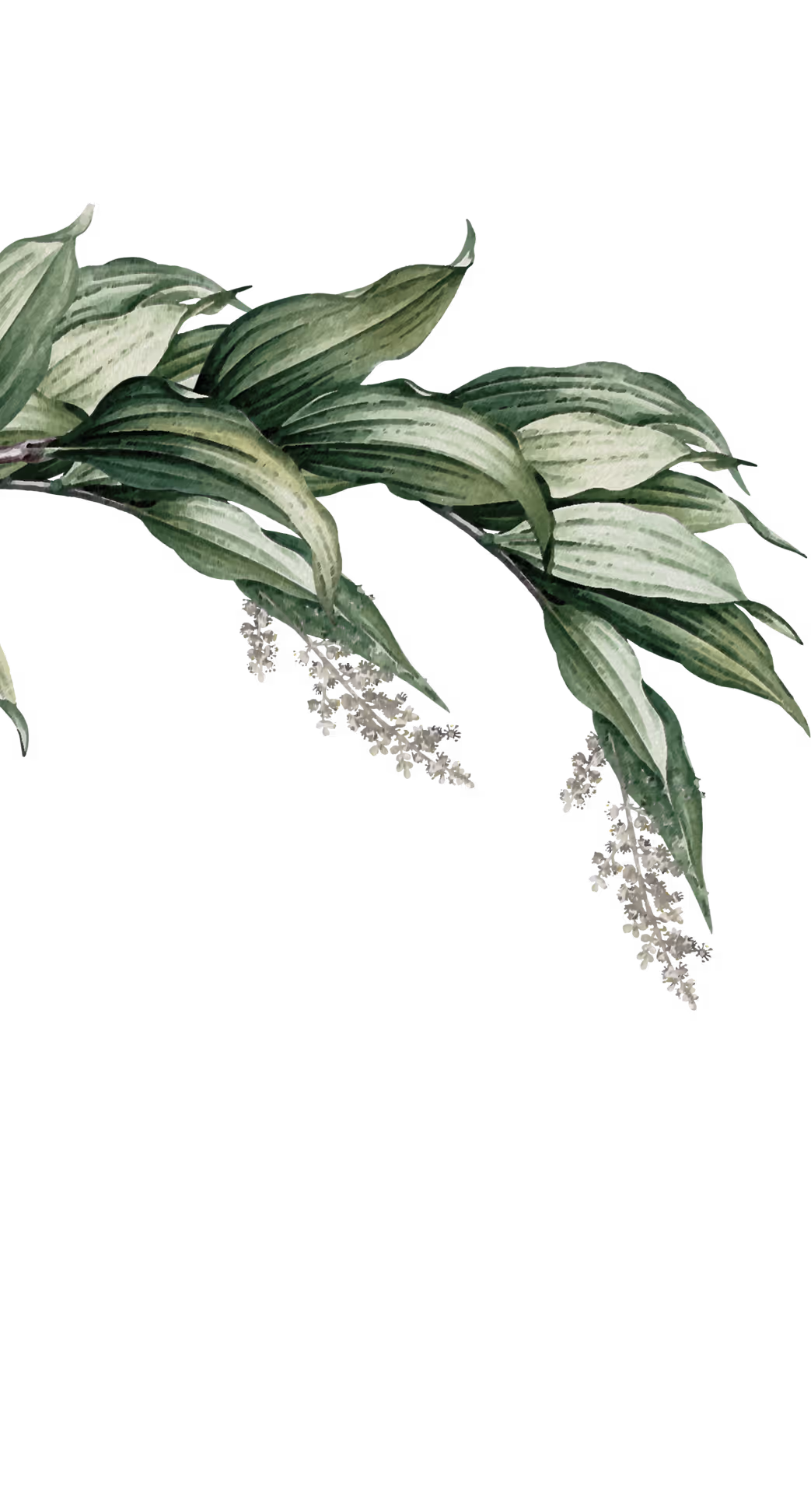 Get in touch for villa plot investment near Yelahanka
