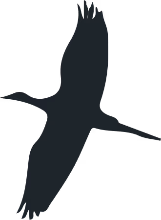 Nature-inspired plotted development promoting slow living and sustainability
