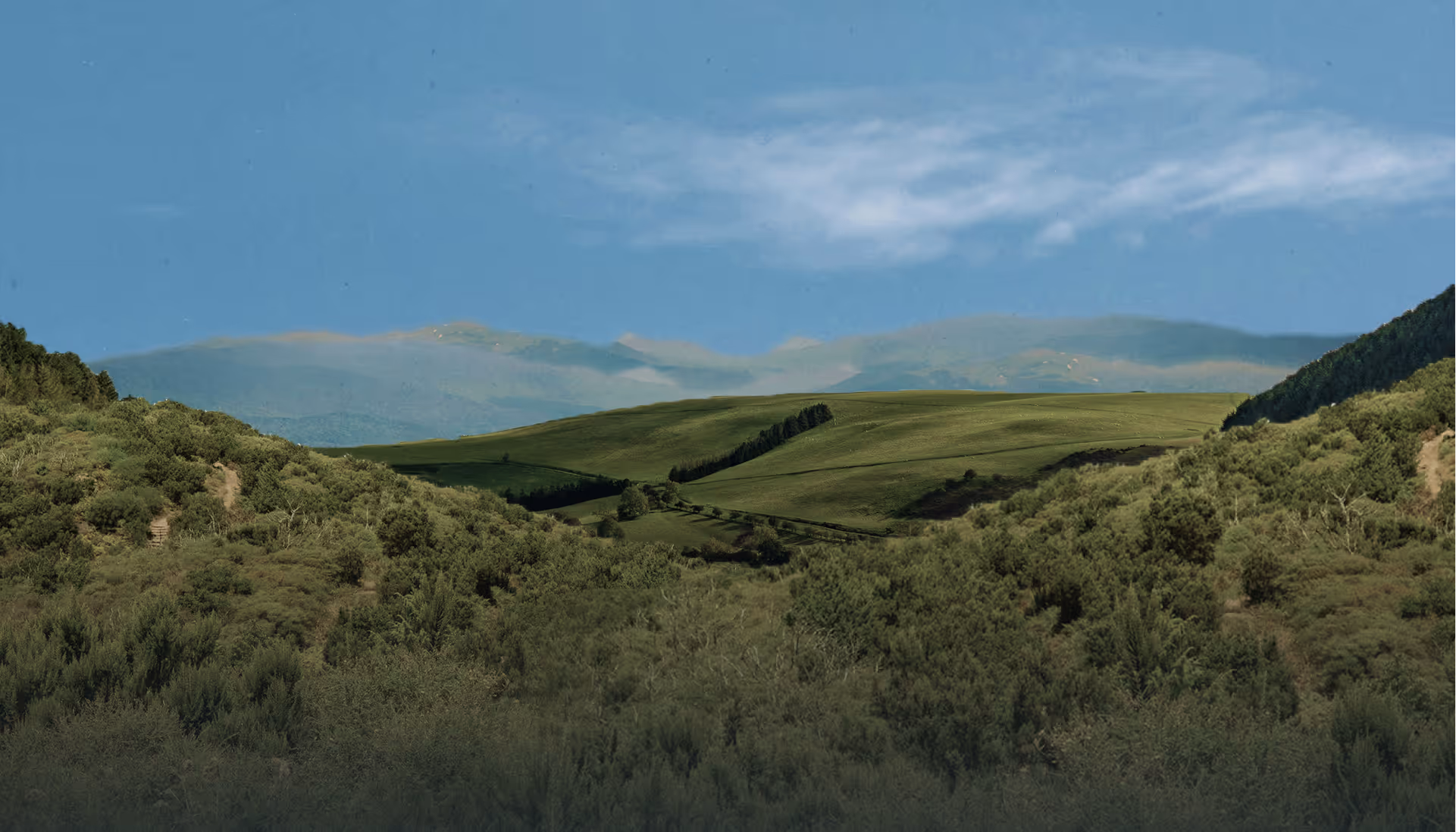 Luxury villa plot community near Yelahanka surrounded by greenery