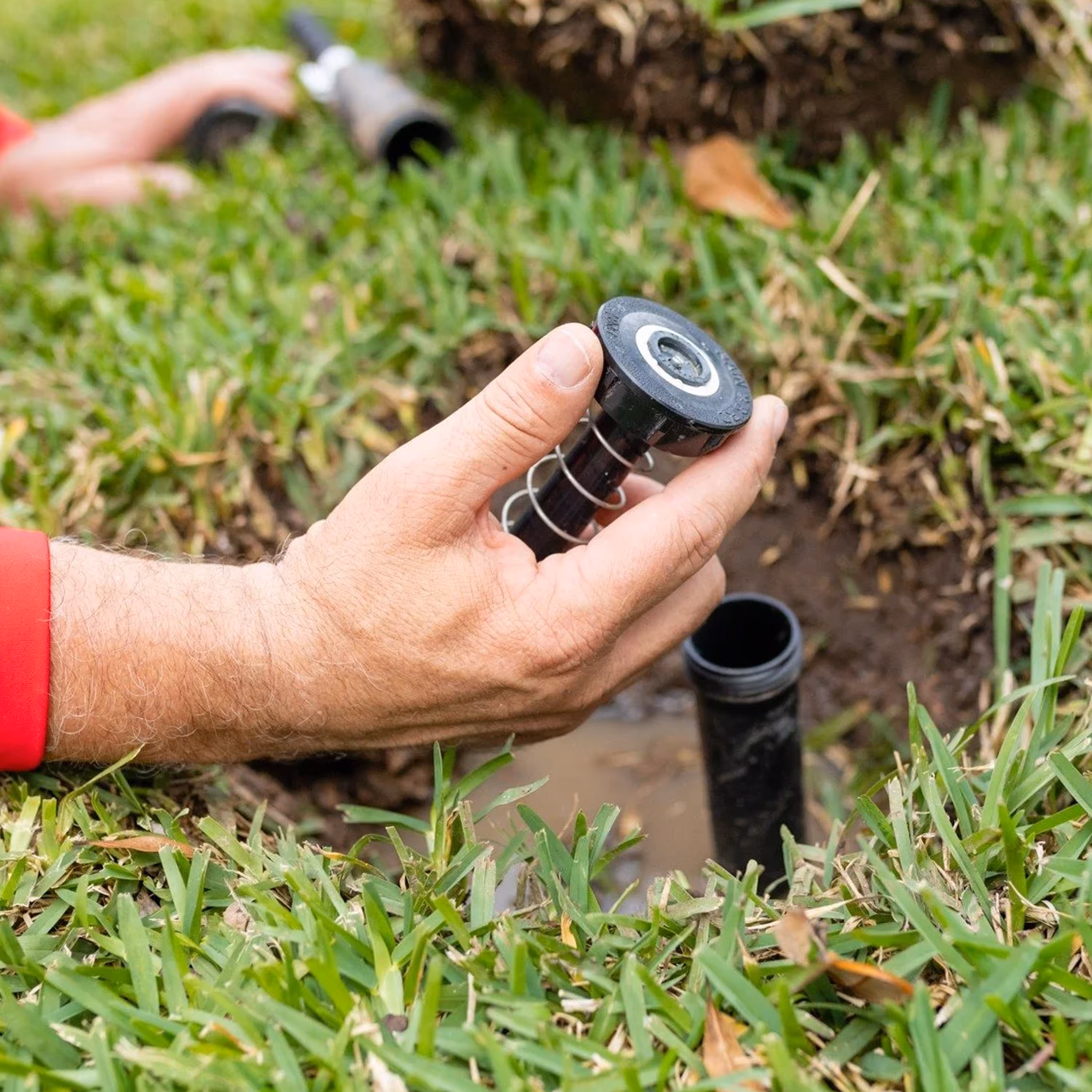 Sprinkler repair service on a Central Coast residential lawn.