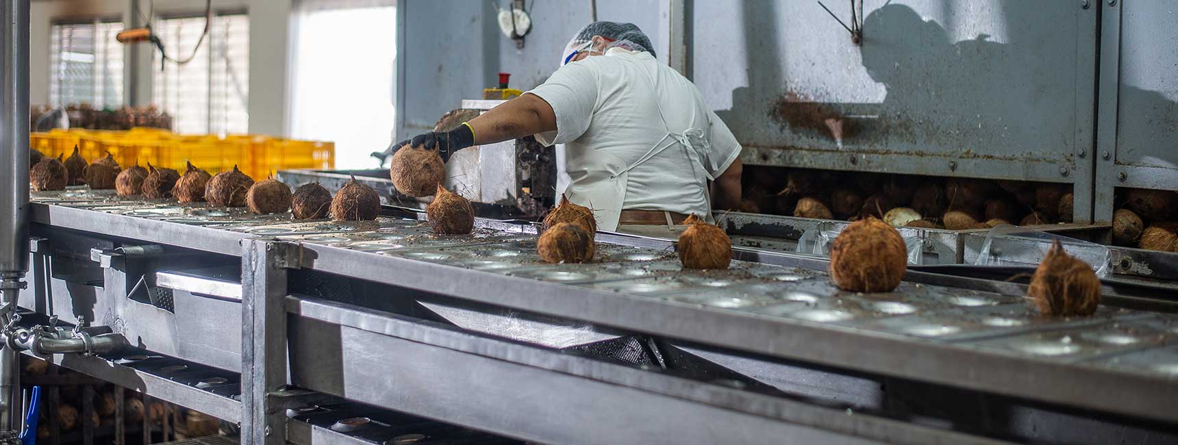 Service Single Image