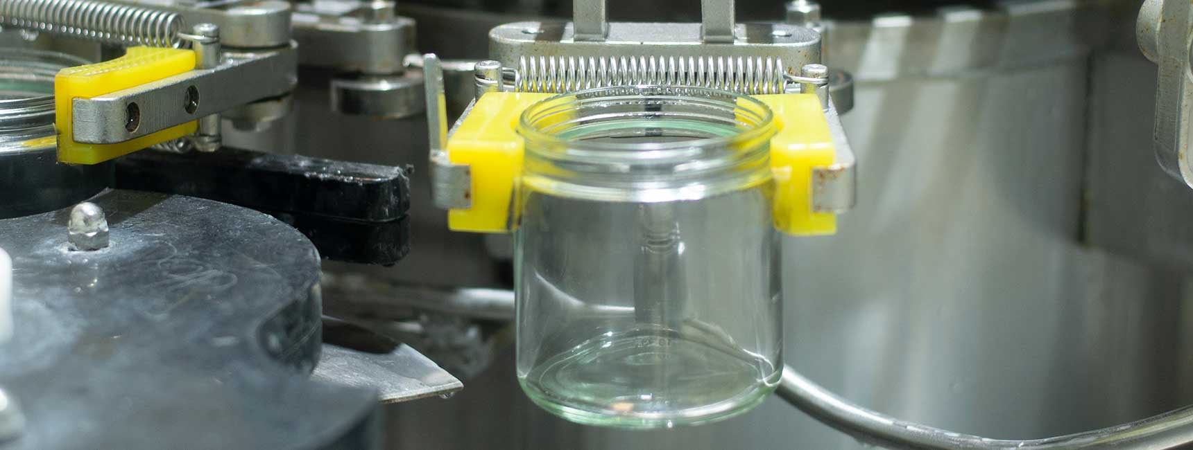 Service Single Image