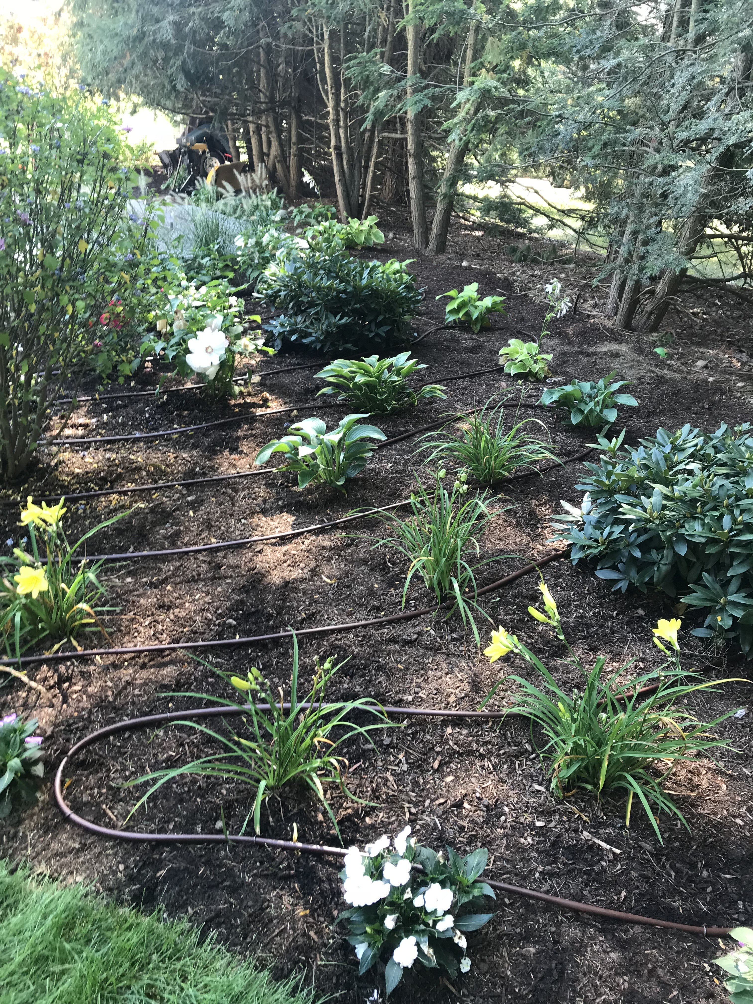 [background image] image of city landscape (for a property management company)