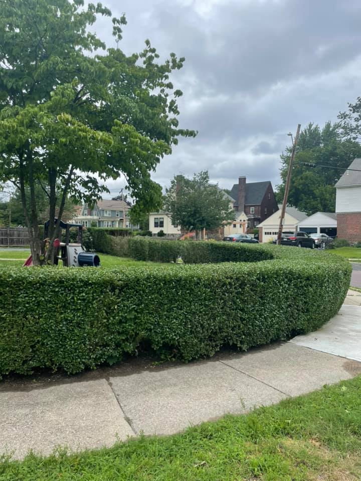image of a flower bed for a landscaping service