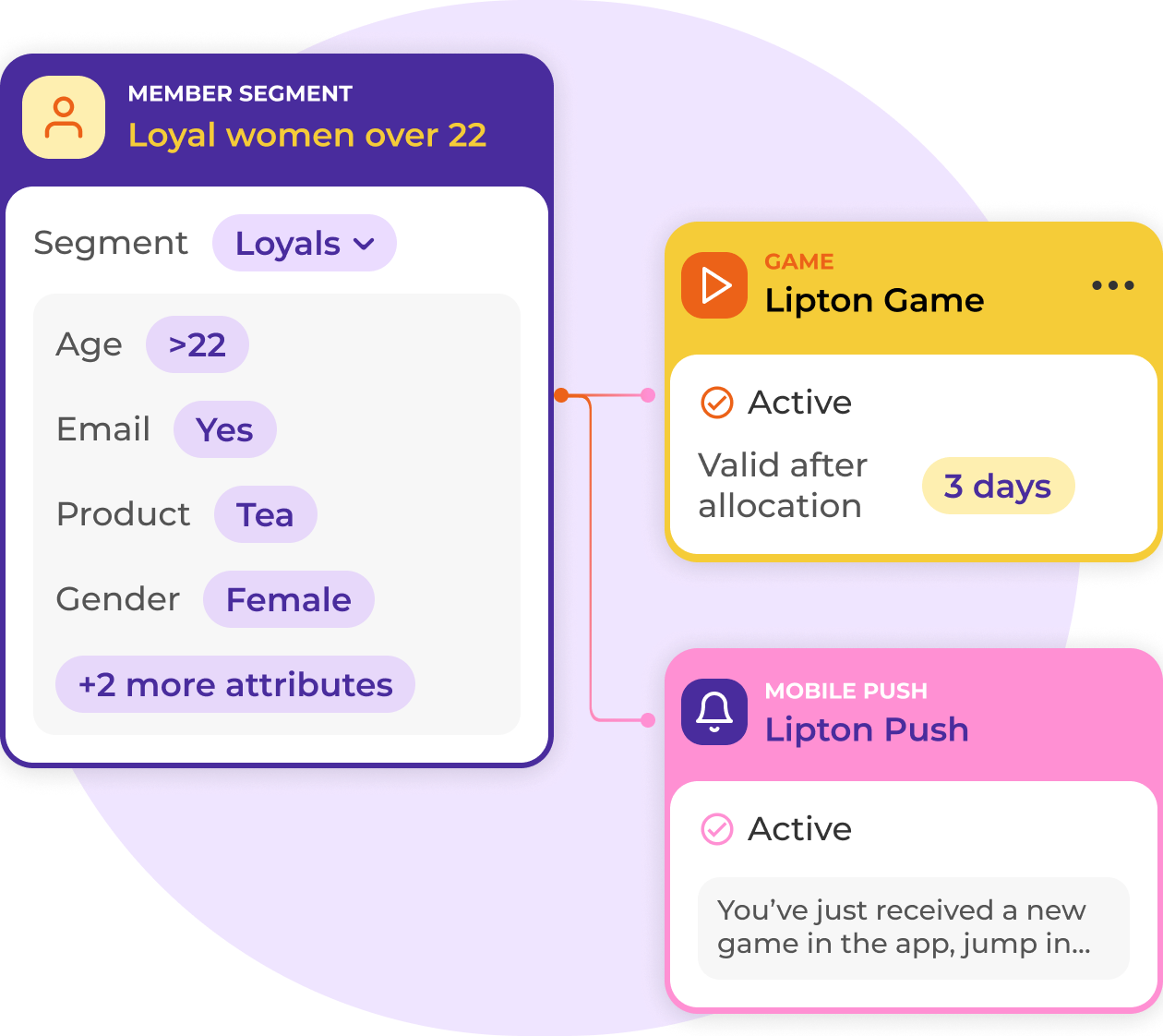 Member segment connected to games and mobile pushes