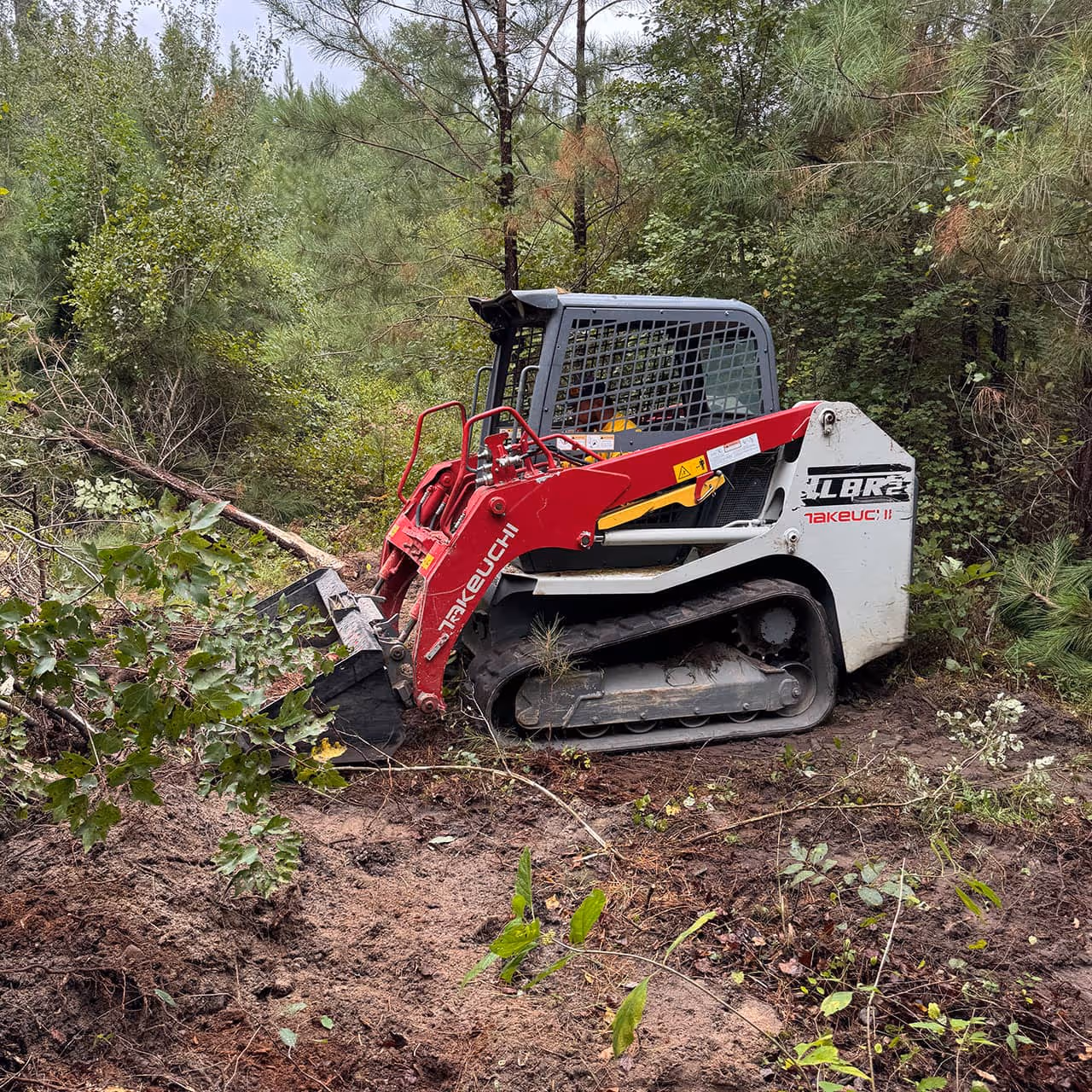 Forestry mulching and vegetation control in Lumpkin County