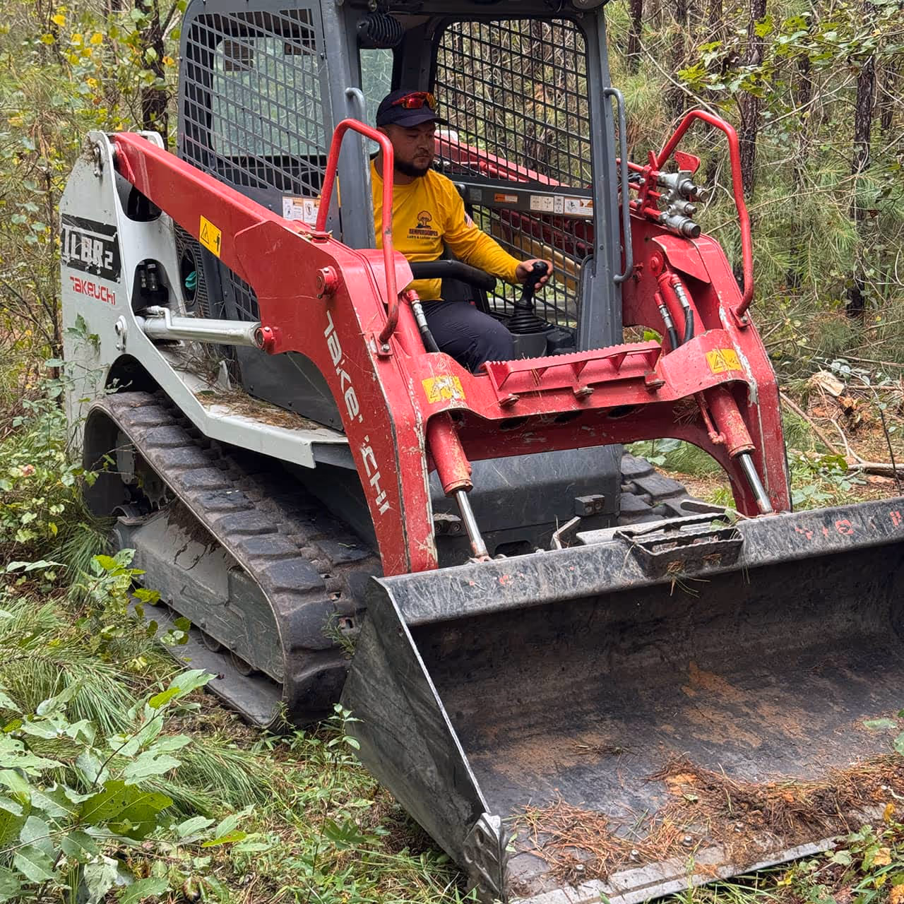 Professional land clearing with tree and stump removal by SemperScapes in Cherokee County GA