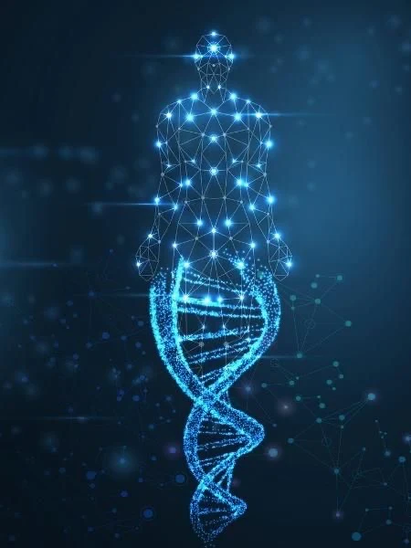 Men if dna legs