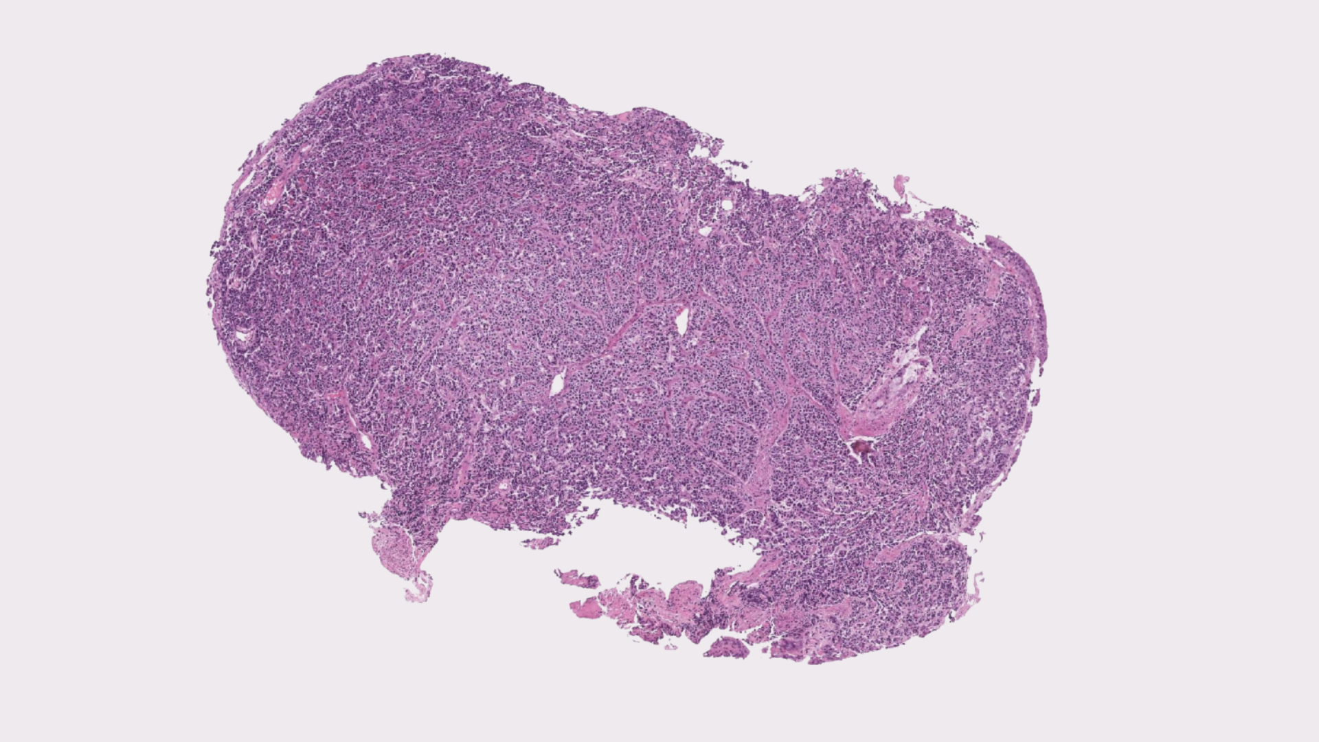 Step 3 – Virtual Stain Generation