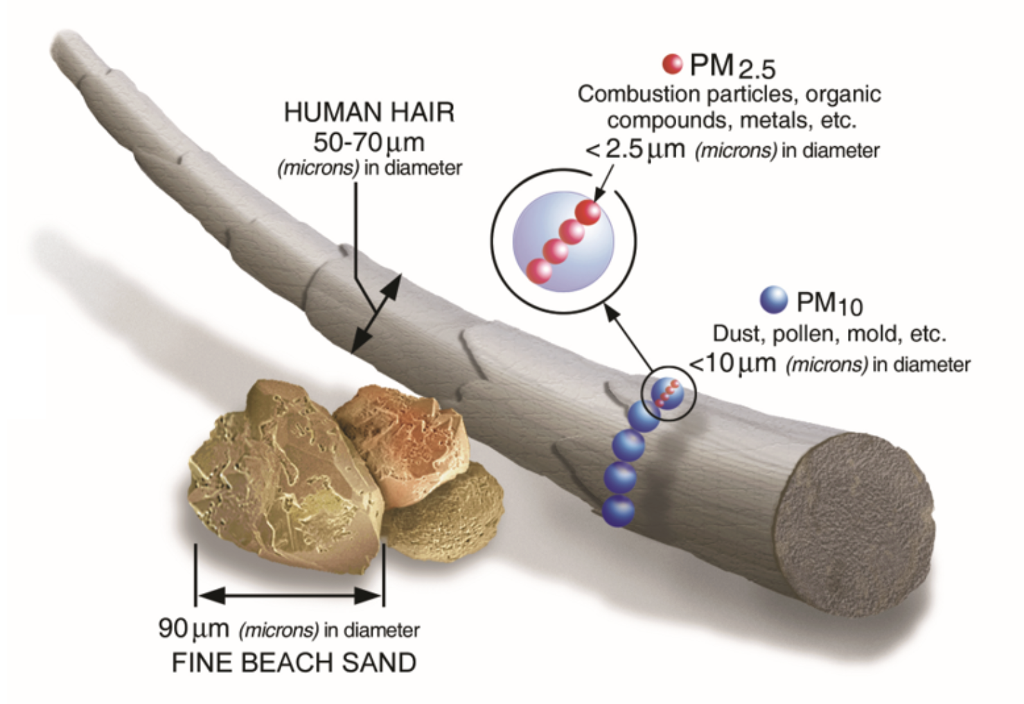 Diagram of particles tinier than a human hair