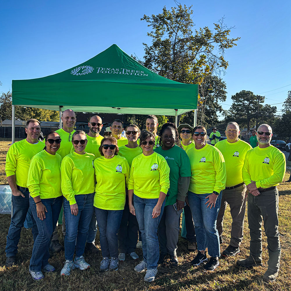 Team of workers posing