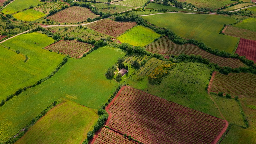 Verdant landscape