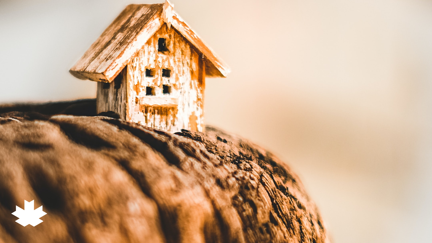 Close up image of a birdhouse on a wood stump.