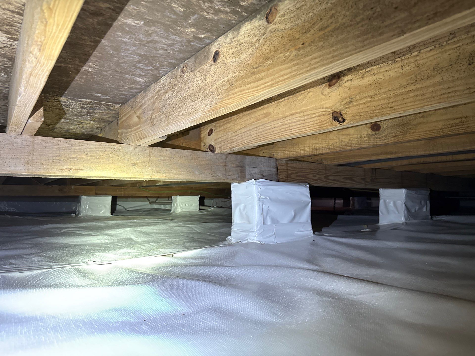 Humidity & Mold Control Services