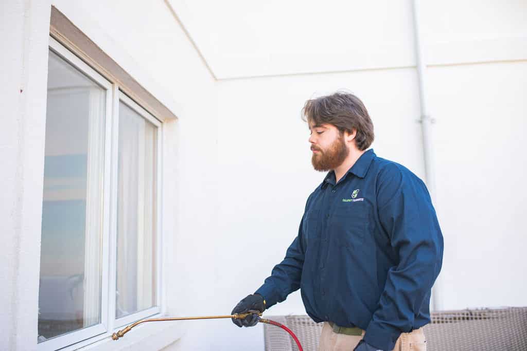 Crawl Space Encapsulation services