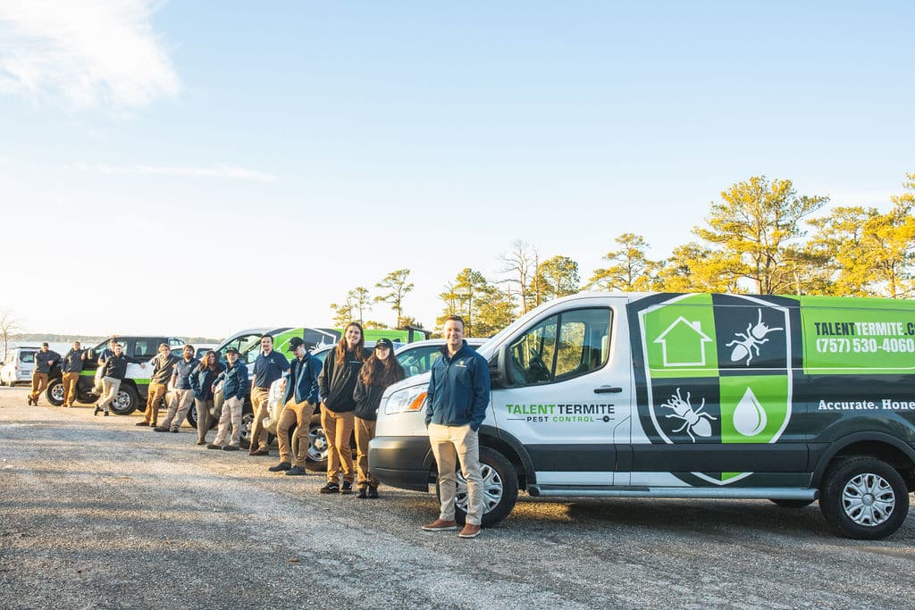 Crawl Space Encapsulation services