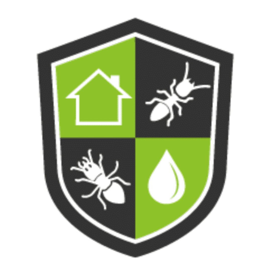 foundation repair virginia beach va