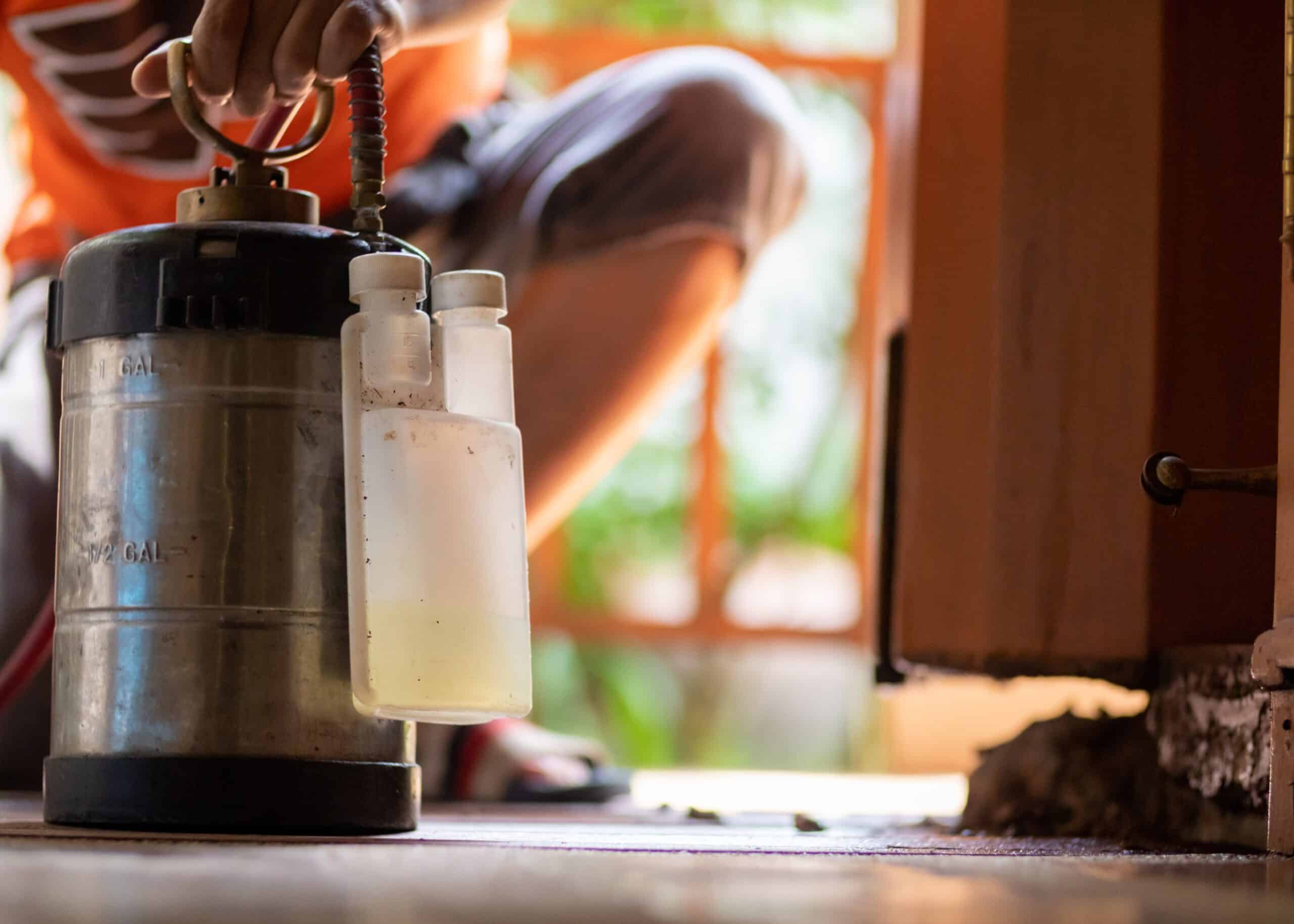 How much does pest control cost in virginia beach?