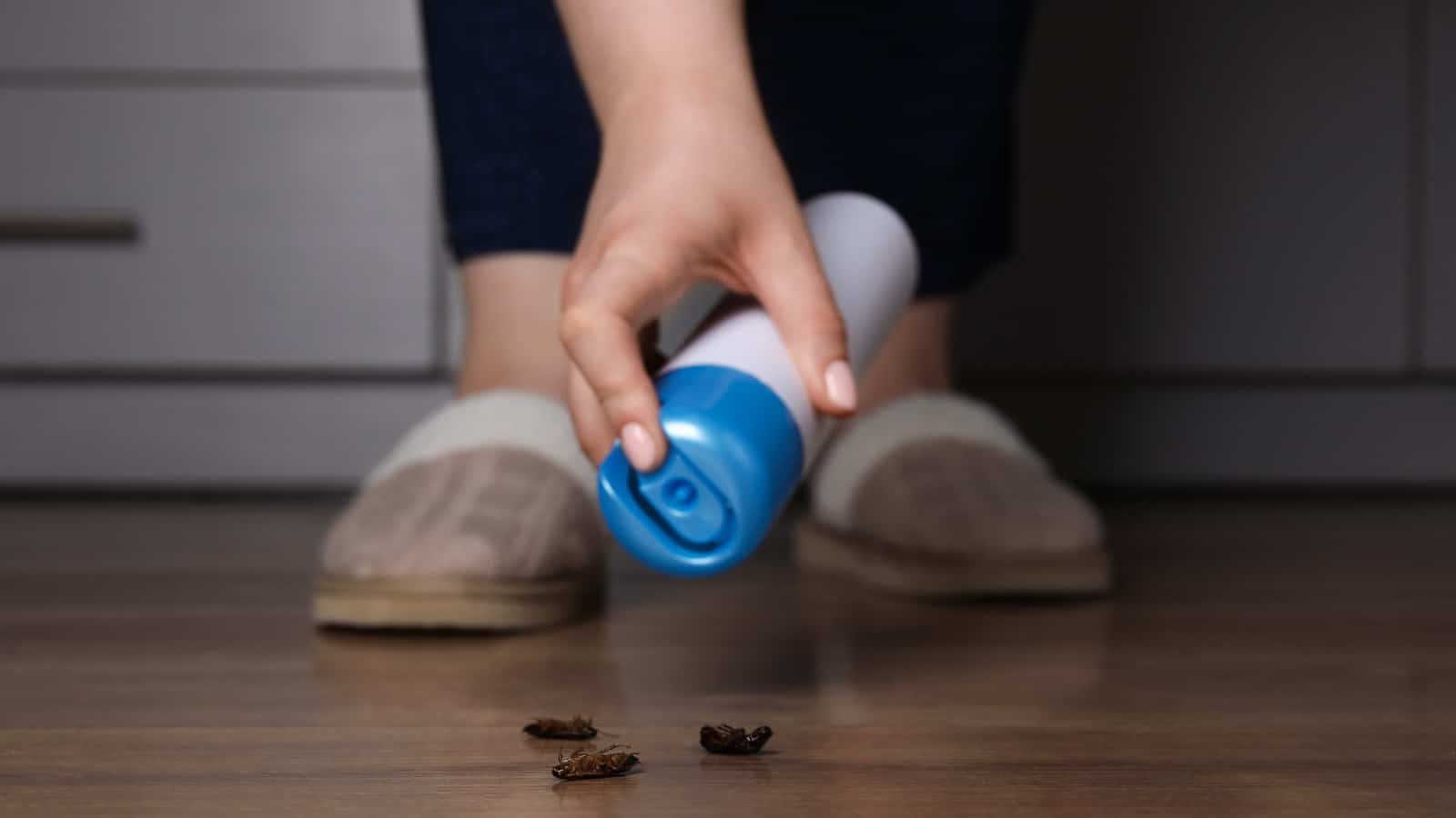 Are Termites Common in Virginia? 