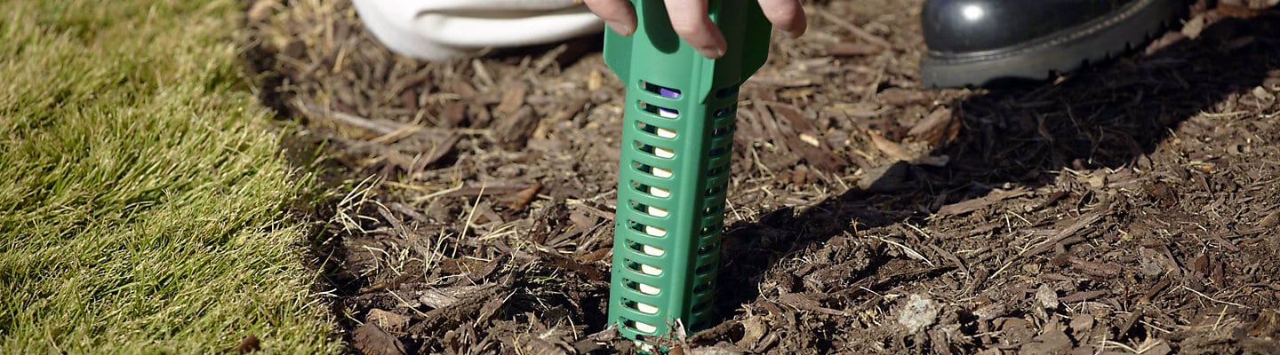 Is Sentricon Worth It?