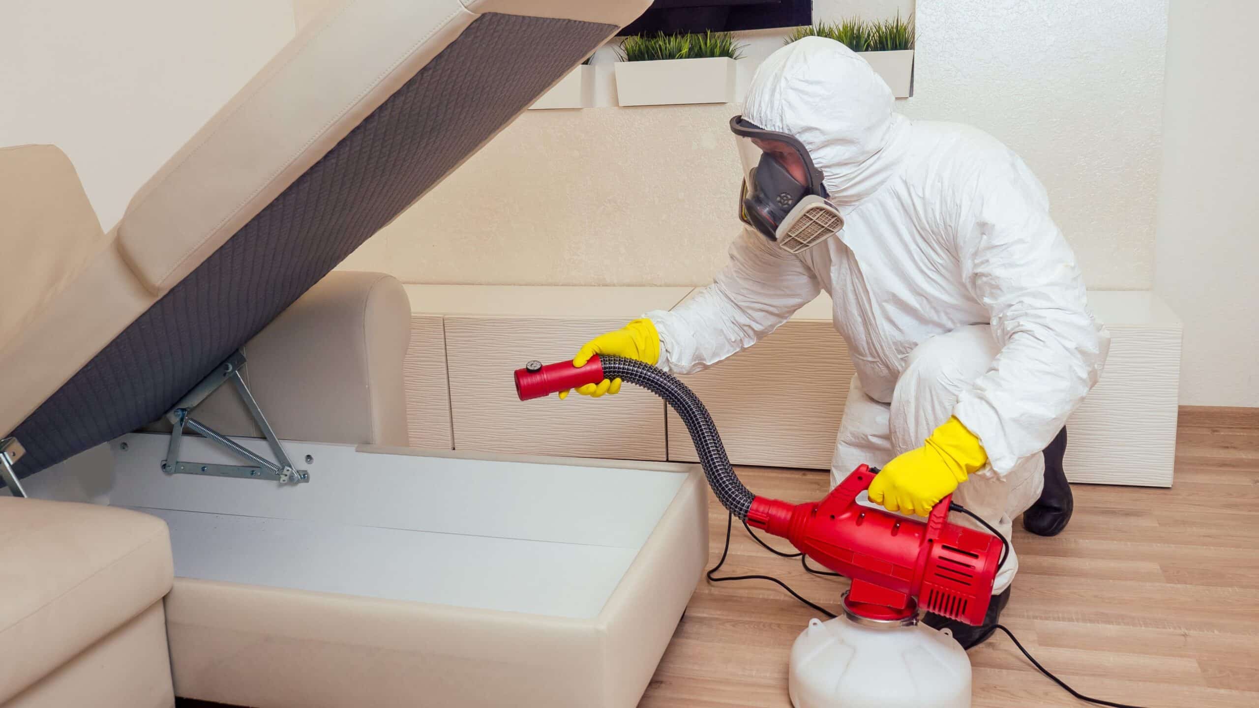 rodent control specialist is working