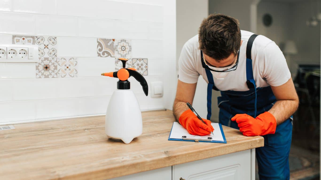 ant control exterminators​ 