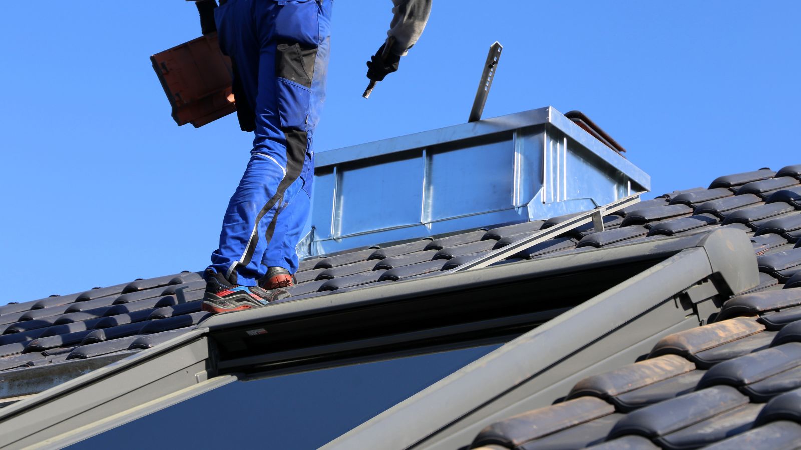 how to get rid of roof rats​