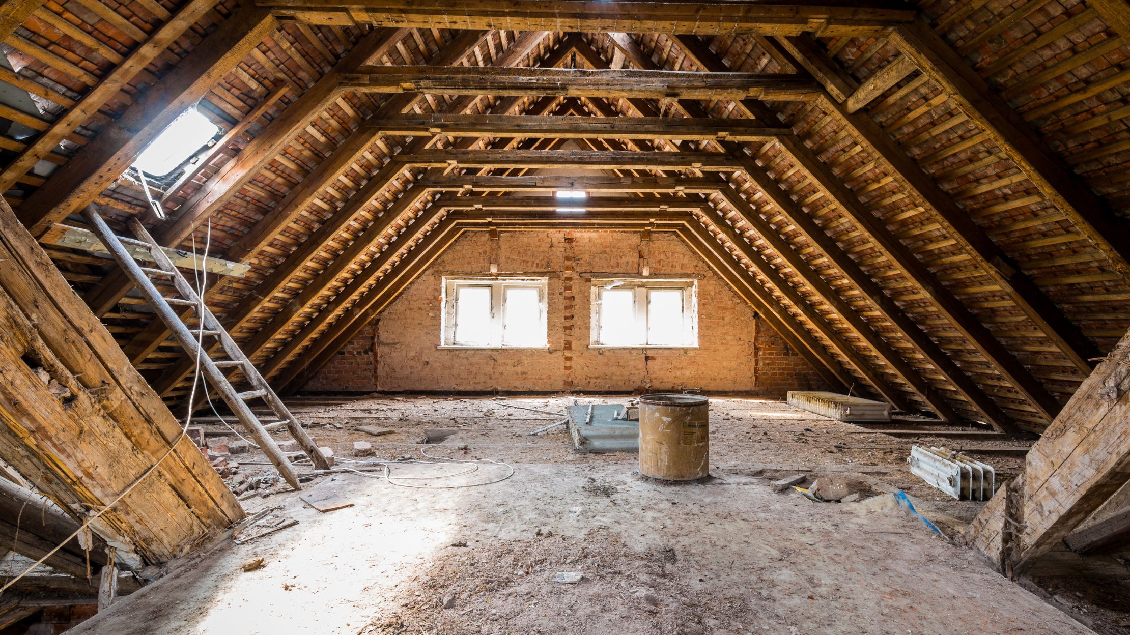 how to get rid of roof rats​