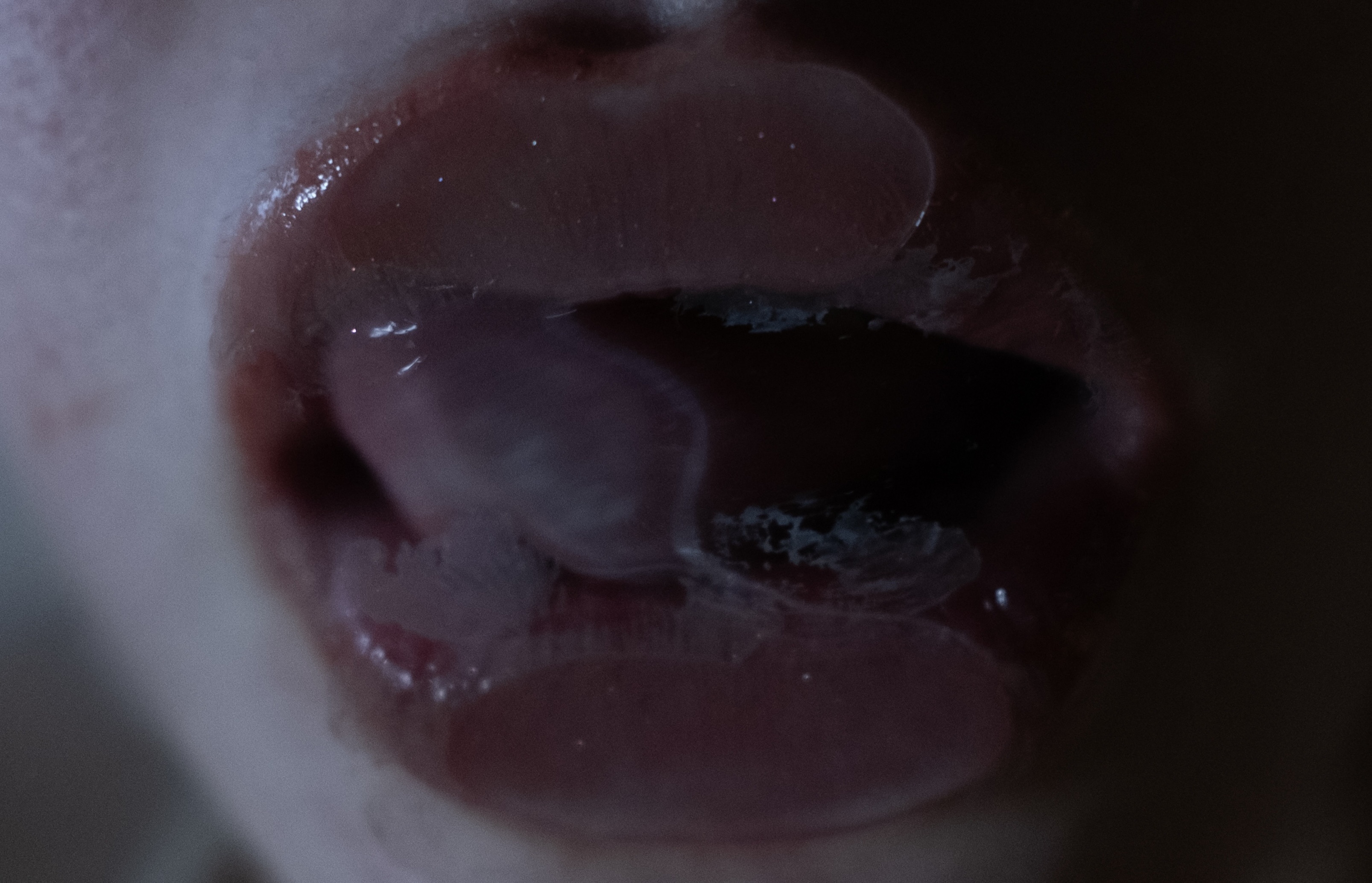 Amaia läppar med tunga