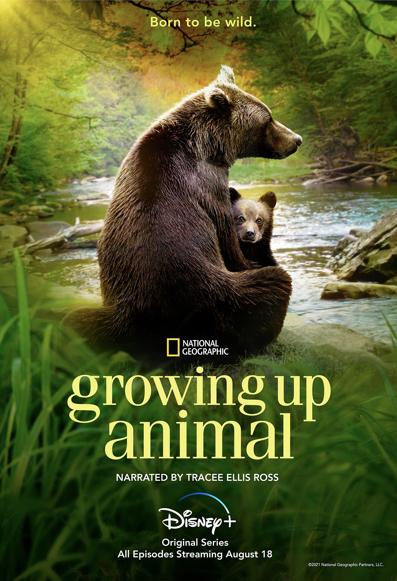 Growing Up Animals 