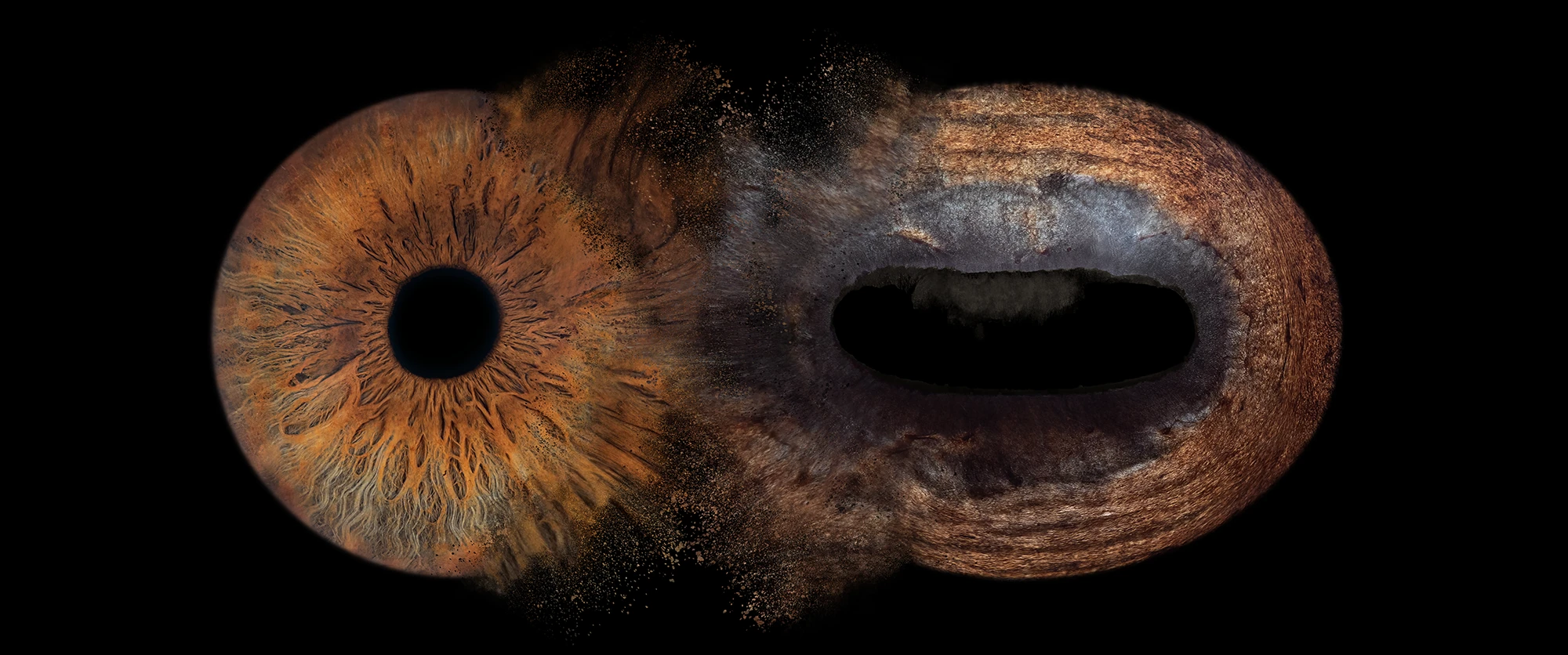 Œuvre photographique INTO THE EYES – Fusion d’un iris humain et de l’œil d’un cheval, symbole du lien unique entre cavalier et cheval.