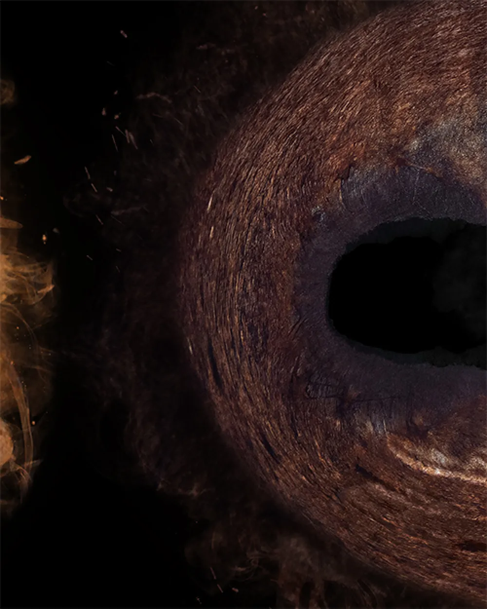 Photographie abstraite et texturée de l’iris, symbole du lien cavalier-cheval.