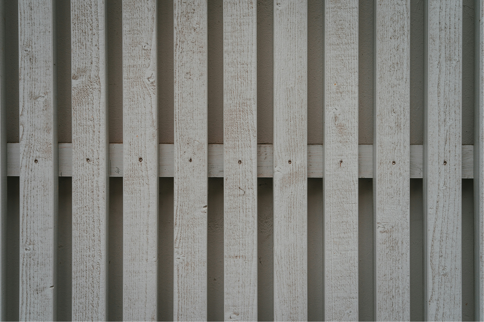 image of a featured dish (for an italian restaurant)