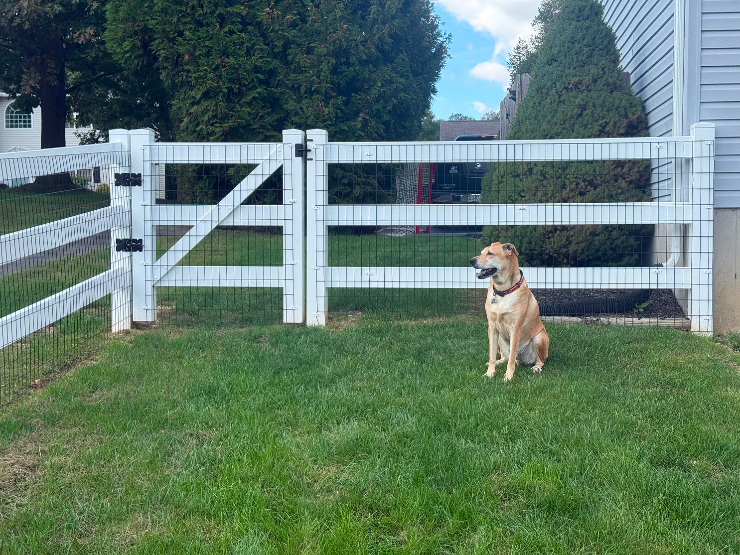 image of commercial solar installations