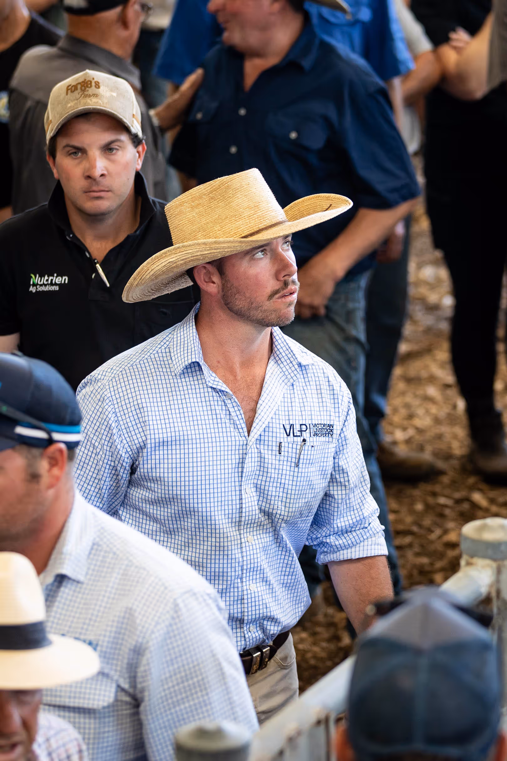 Man wearing a straw cowboy hat and checkered shirt looks attentively to the side at a livestock event.