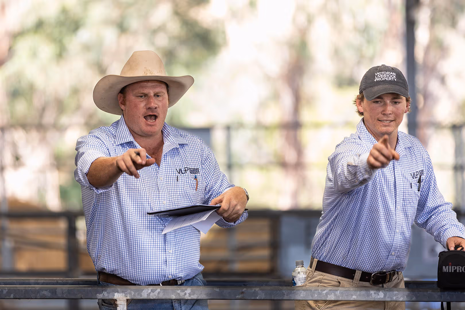 Two men in checkered shirts and hats pointing forward during a livestock auction.
