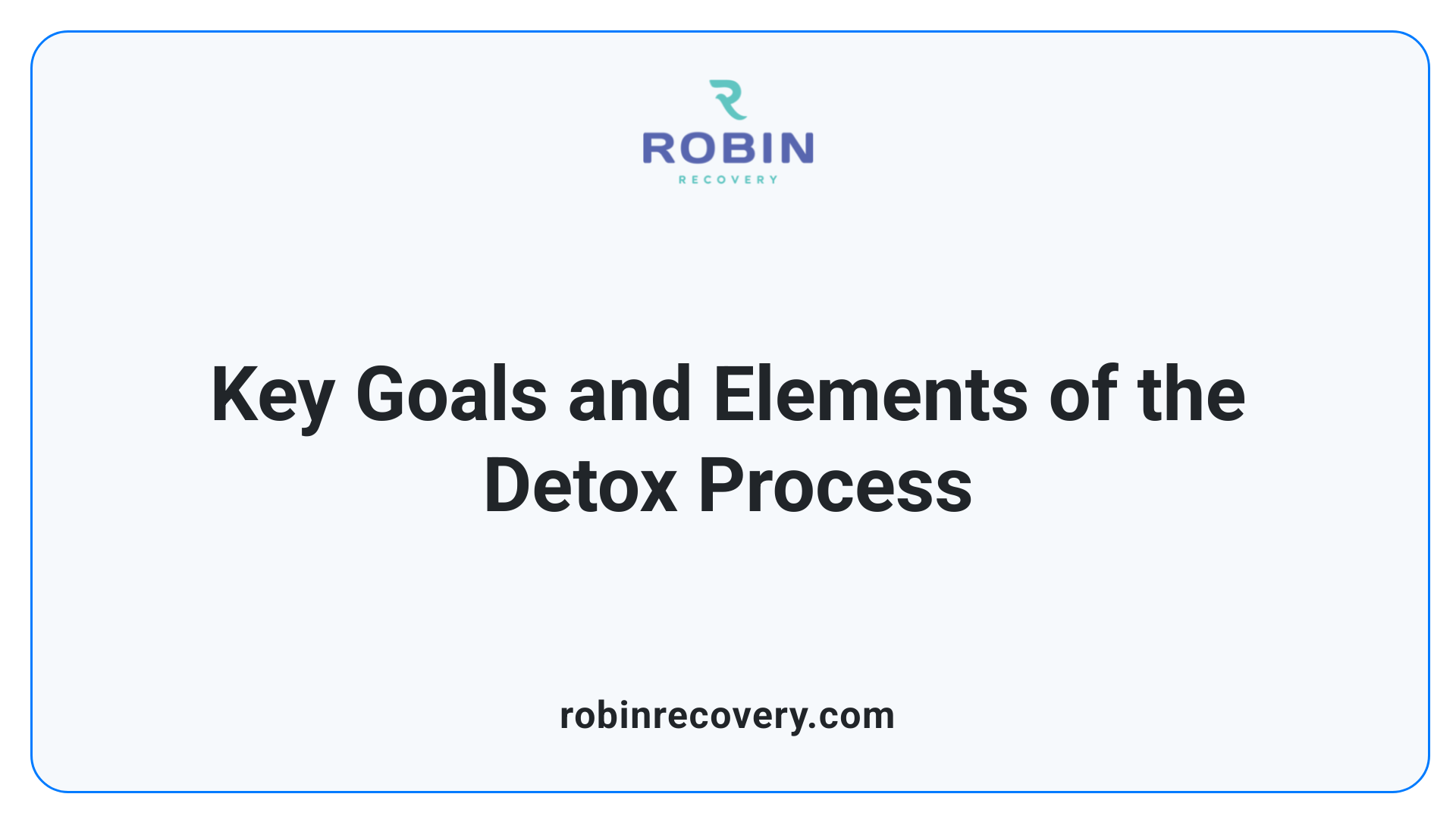 Key Goals and Elements of the Detox Process