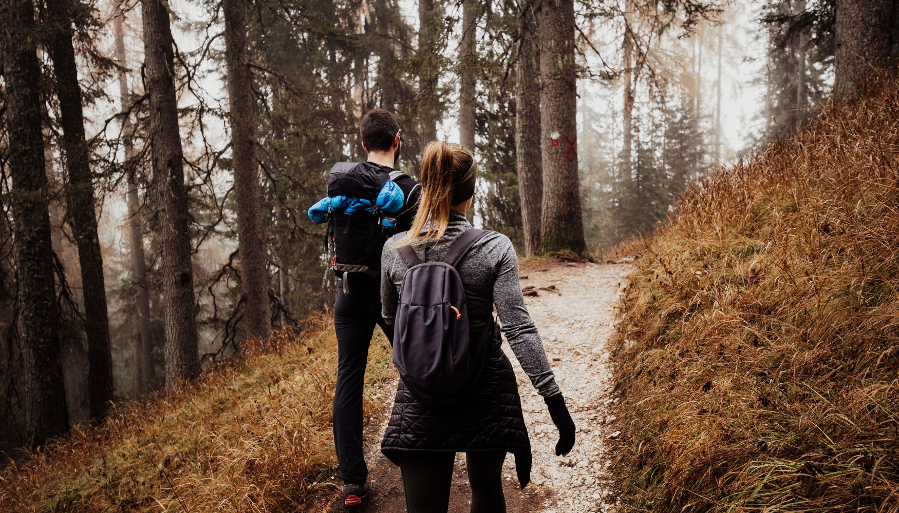 fun date night ideas