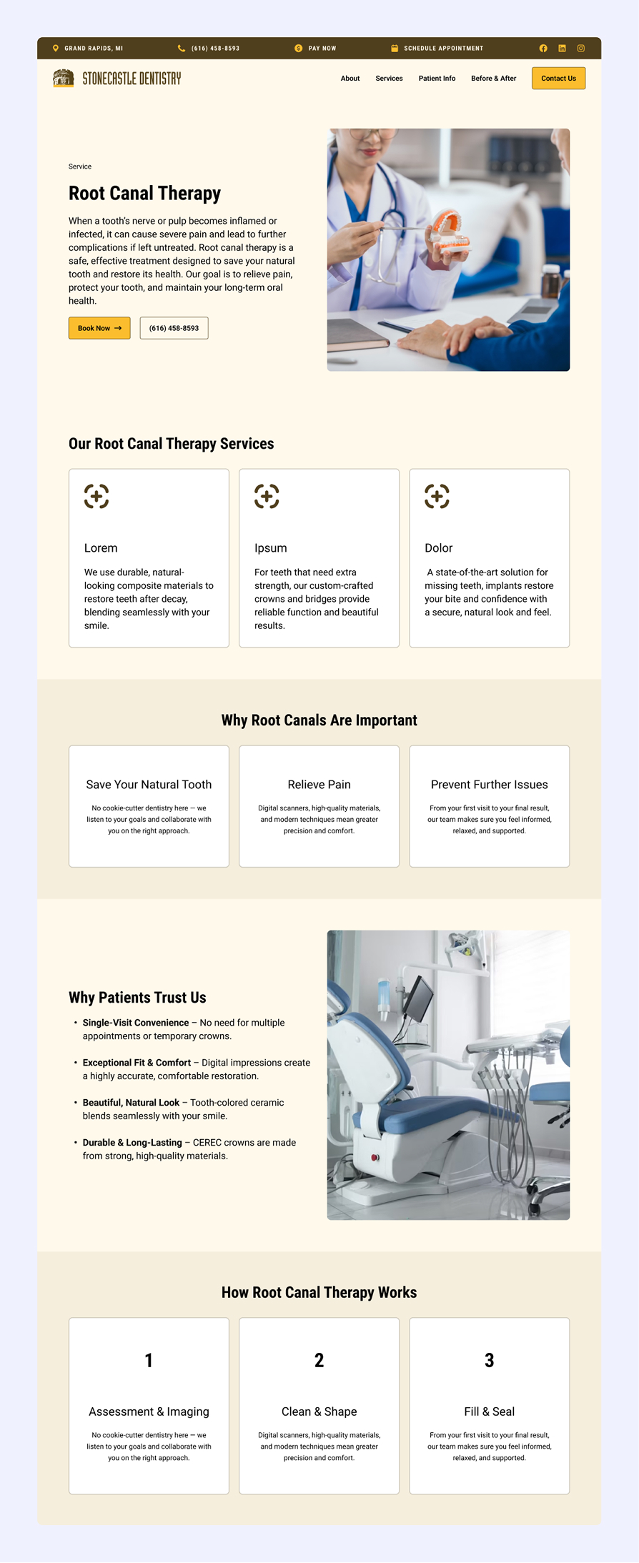 Stonecastle Dentistry webpage showing information about root canal therapy, including services offered, importance, patient trust reasons, and procedure steps with images of a dentist demonstrating a dental model and an empty dental treatment chair.