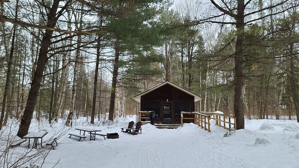 Small log cabin surrounded by snow-covered pine trees at the winter camping site