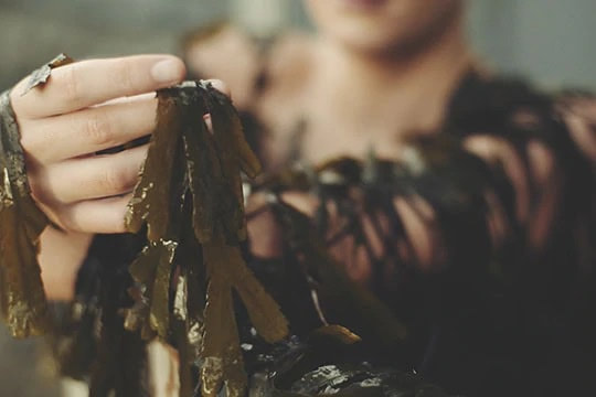 A woman is holding a bunch of seaweed known for its benefits in skincare.
