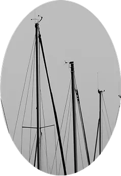 Four sailboat masts with rigging lines are shown against a gray sky, captured in a vertical, oval-cropped frame.