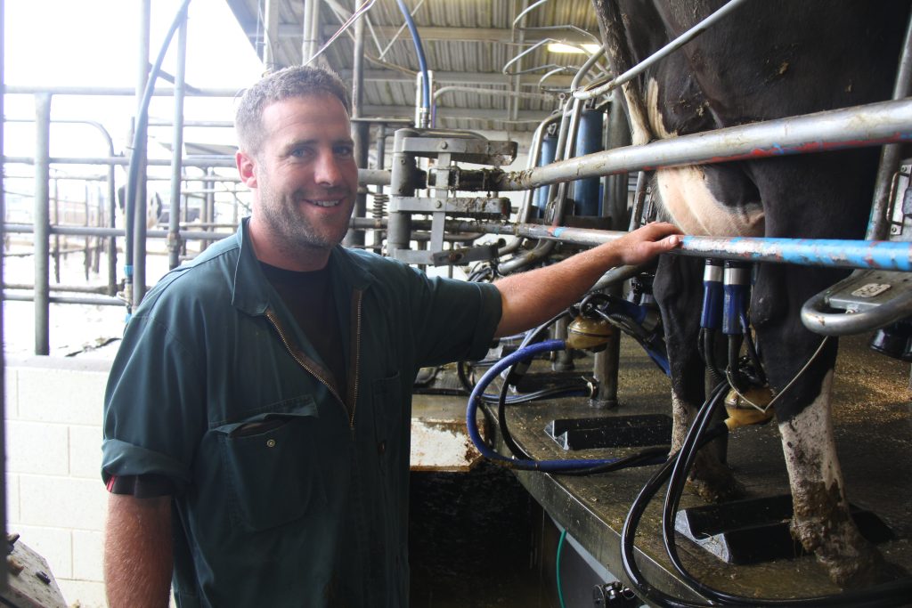 Farmer Mitchell in Milking Shed