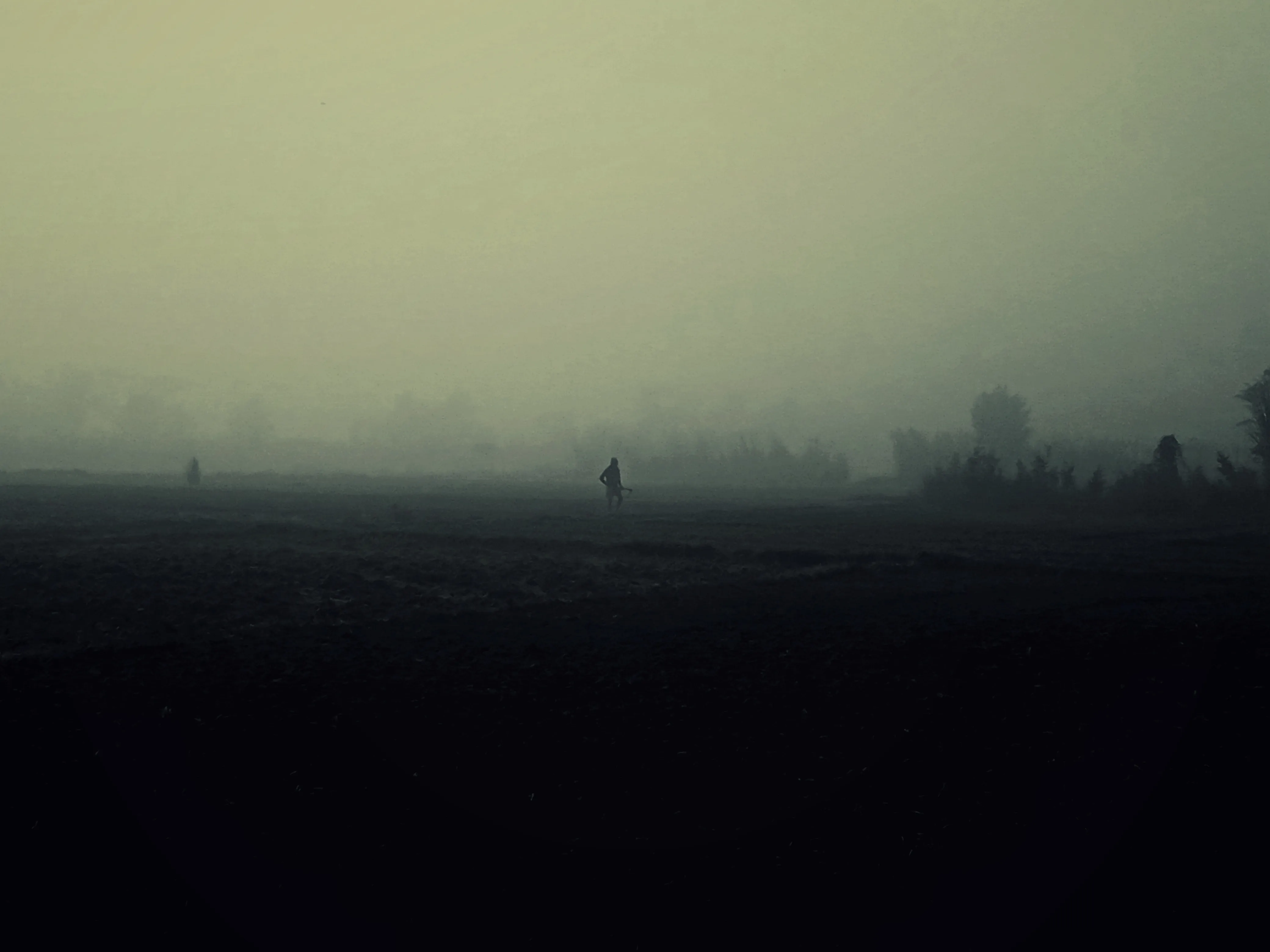 Silhouettes of two people walking in a foggy, open field with faint trees in the background.