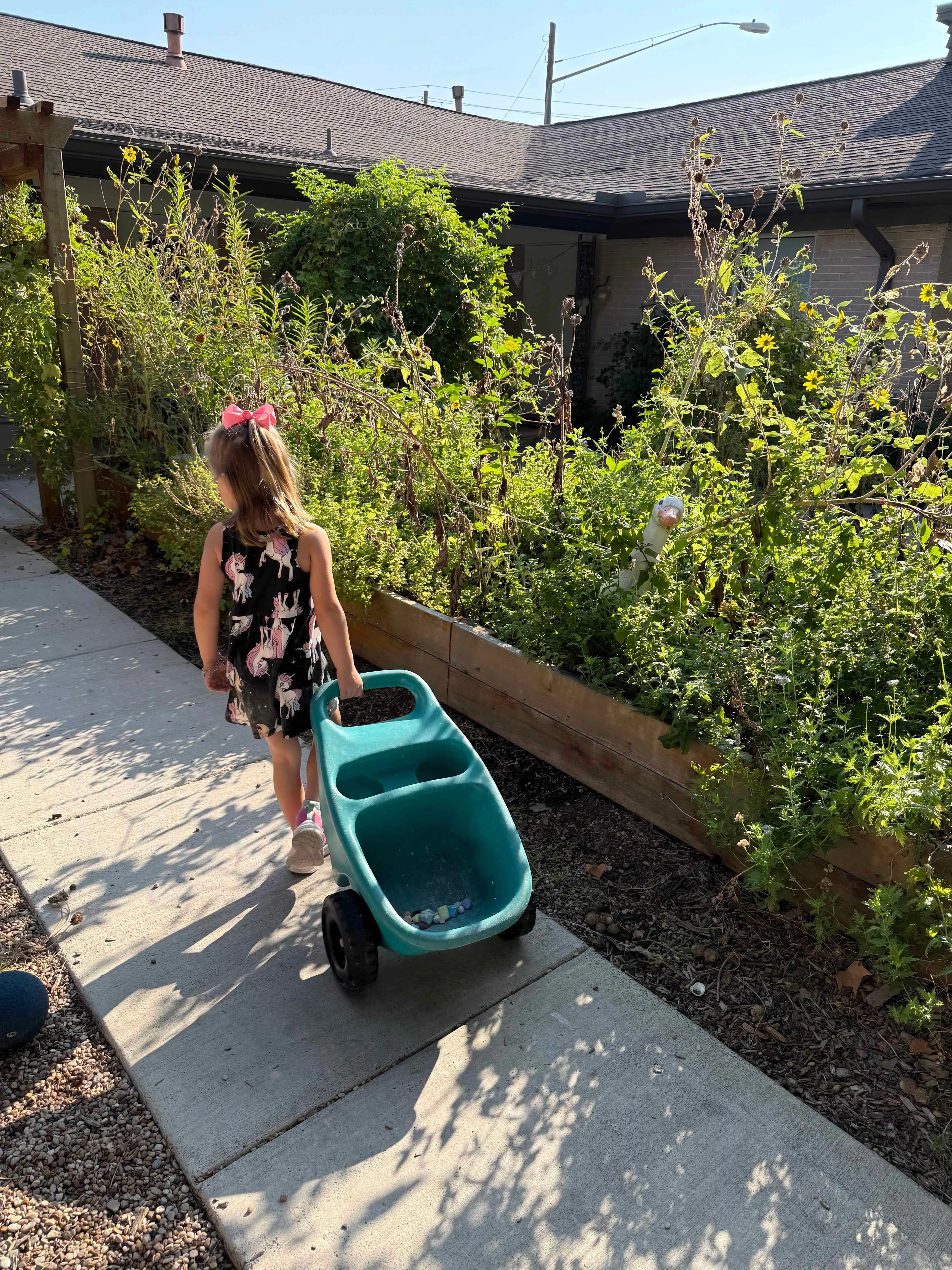 [background image] captivating photo of a serene outdoor playground (for a preschools & daycare)
