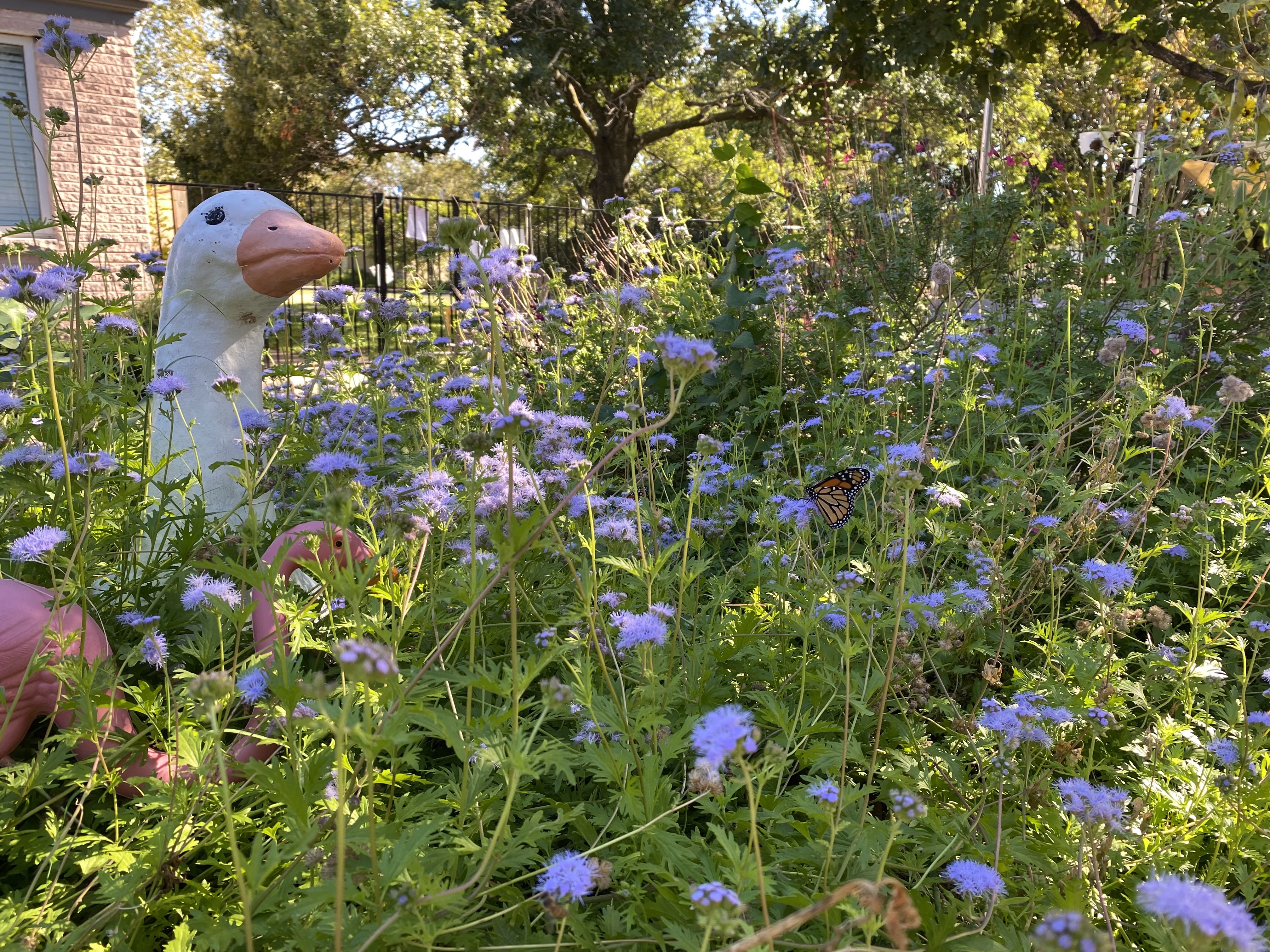 [background image] captivating photo of a serene outdoor playground (for a preschools & daycare)